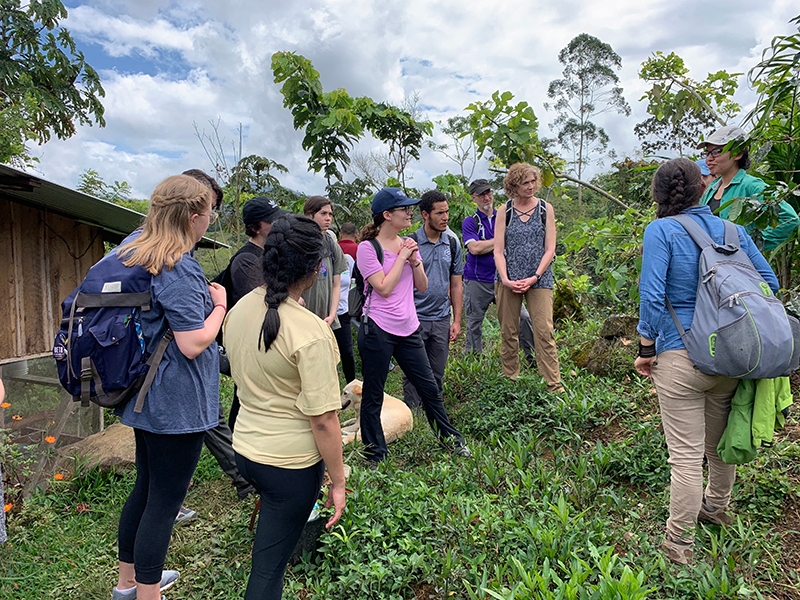 Students taking the social enterprise consulting course in Costa Rica learn about a butterfly farm. The course will be taught again during Spring Break 2020.