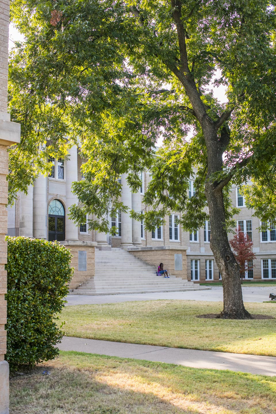 ACU is named a Tree Campus USA for the seventh year.